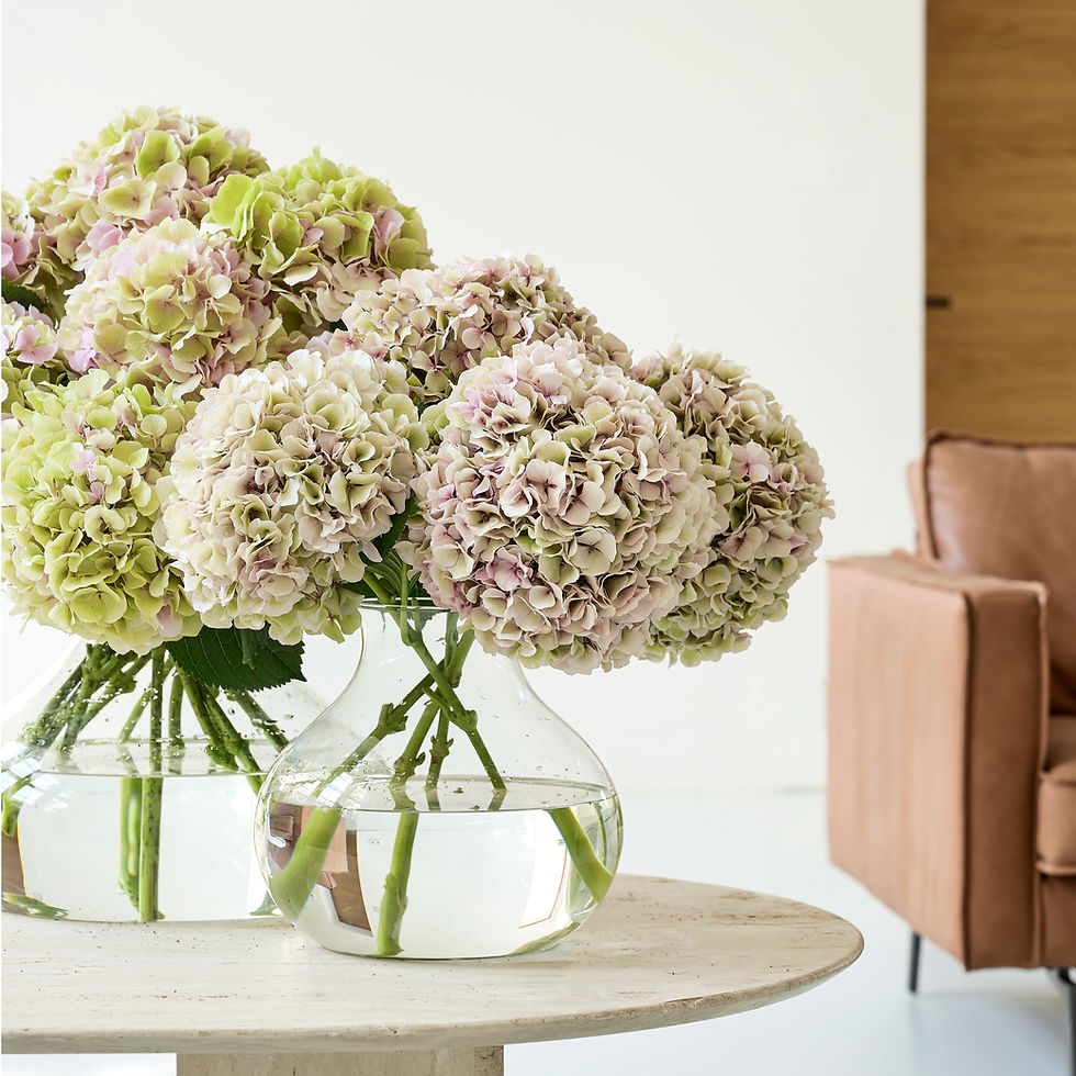 Hydrangea on side table