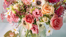 The Romance of Colour