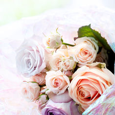 Seasonal Flower of the Month: Roses