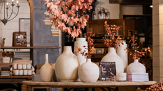 Autumn Transition - Visual Merchandising Special