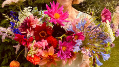 Grower Spotlight: Barnyard Flowers
