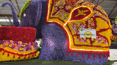 Stunning Creativity on Show at Dutch Flower Parade Preview
