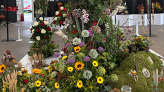 Floristry Winners at Harrogate Spring Flower Show 2025