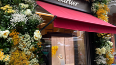 Floral Fabulousness in the Capital: Chelsea & Belgravia in Bloom 2024