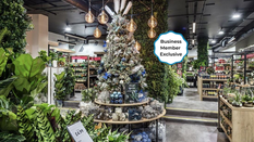 Festive Interiors Encourage A Higher Spend