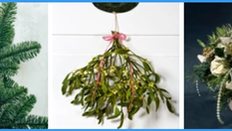 Seasonal Foliage - Christmas Greens