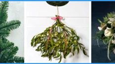 Seasonal Foliage - Christmas Greens