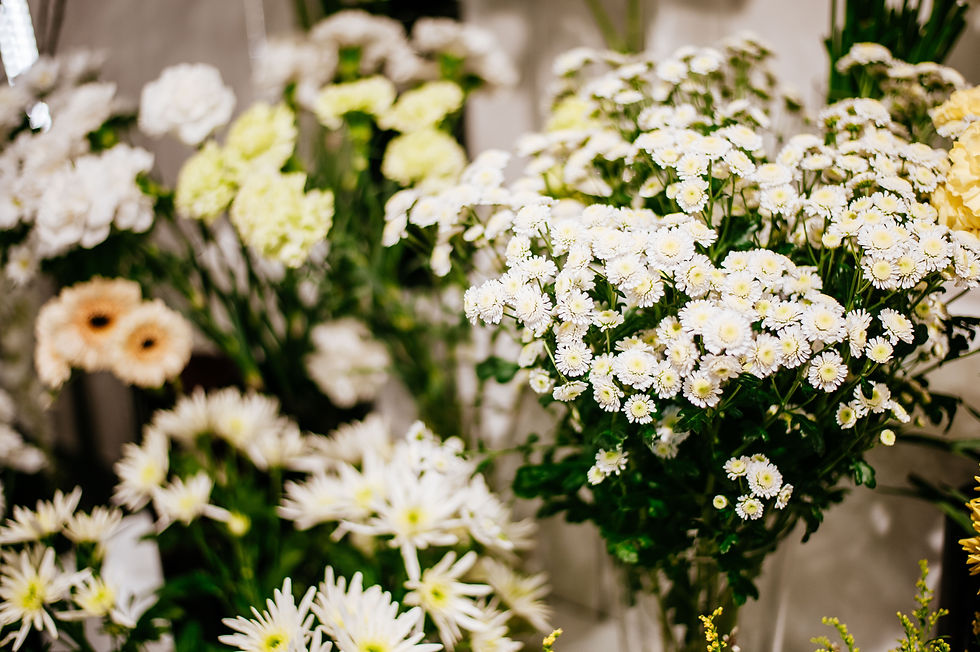 close up of flowers