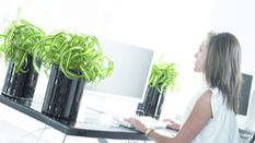 Let Loose with Scissors: Bringing the Outside, Inside