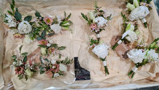 Improving the hydration of cut flowers: Liz Dawes