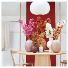 Valentine’s Day: It Doesn’t Have to be Red Roses…