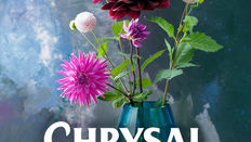 Flower Care FAQs 