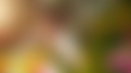 Smartphone Flower Photography: How to Take Better Photos