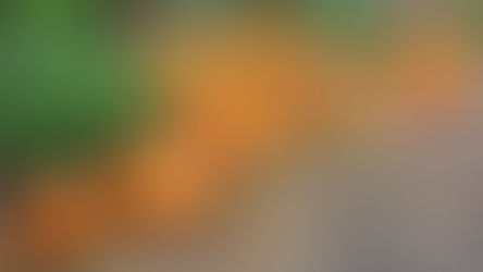 Get the Orange Vibe