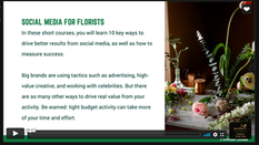 Social Media Marketing: Week 4 - Content Strategy