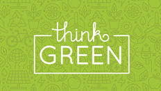 Going Green: Bleached Flowers and Foliage