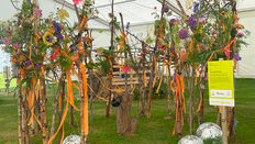 Talking Technique: RHS Tatton Park Flower Show 2024