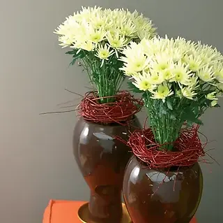 Spring Flowers Chrysanthemum