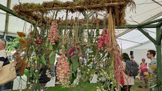 Displaying Dried Flowers? Be Creative!