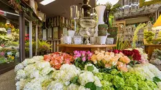 What to consider when opening a Florist retail shop or studio