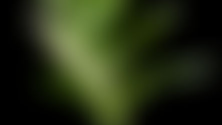 What's Available from UK Growers in May 