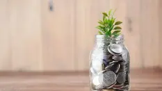 Asset Finance Explained for Small Business Owners