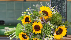 Seasonal Flowers & Foliage for September