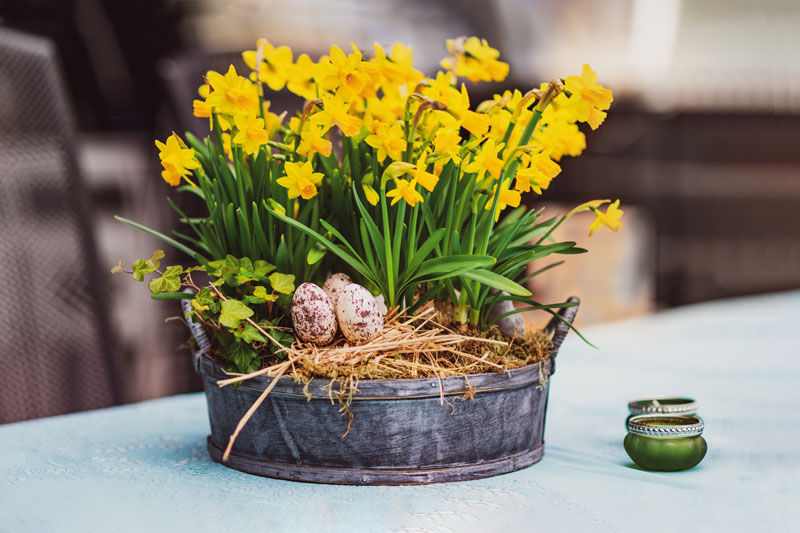 Tete a Tete Easter Design Inspiration