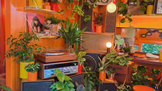 Preview: RHS Chelsea Flower Show 2025 Showground Exhibits
