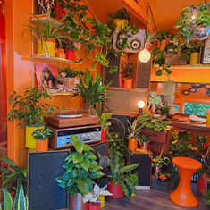Preview: RHS Chelsea Flower Show 2025 Showground Exhibits