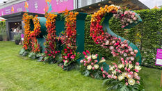 RHS Chelsea Flower Show 2025 Photo Gallery