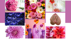Floral Trends on the Market 2025