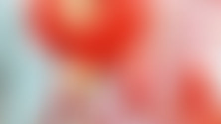 Chinese New Year 17th February 2026
