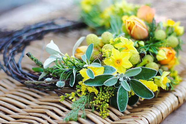 yellow narcissi and tulips