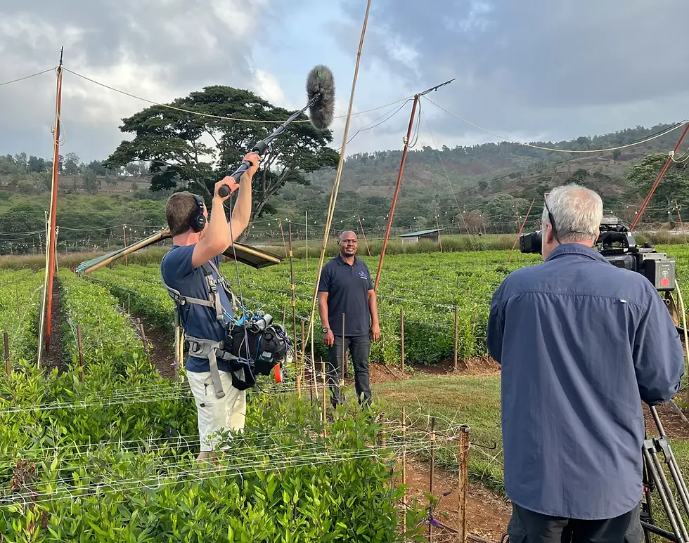 Embark on a floral adventure filming