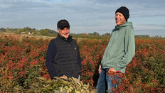 Branko Petrovic (grower in Serbia) and Eric Stokman (selection and market in the Netherlands) standing in a field of rosehips