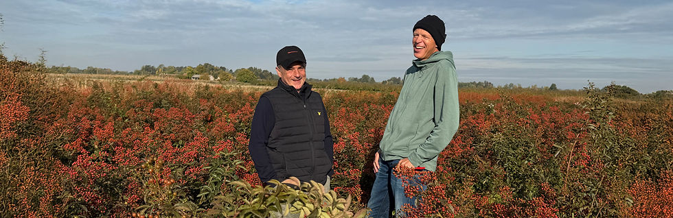Two smiling men, Branko Petrovic (grower in Serbia) and Eric Stokman (selection and market in the Netherlands), standing in a field of Rosehips under a cloudy sky, wearing hats and jackets.