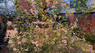 British Flowers Week at The Garden Museum