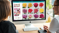 Wedding Consultations with the Wow Factor