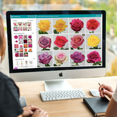 Wedding Consultations with the Wow Factor