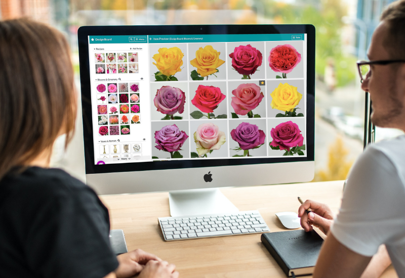 Using Details software