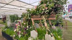 Farewell Flowers Win Gold at RHS Chelsea Flower Show 2025 - Interview with Founder