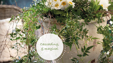Plants & Weddings – a natural combination