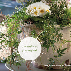 Plants & Weddings – a natural combination