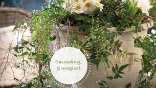 Plants & Weddings – a natural combination