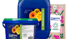 Long-Lasting Flowers Start with the Right Products and Processes