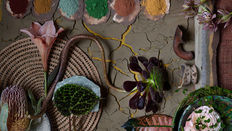 Autumn Trends - Meaningful Earth