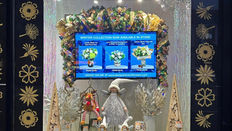 Christmas Window Displays