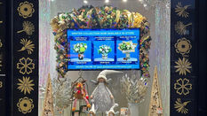 Christmas Window Displays