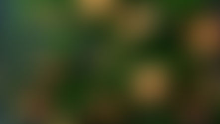 Use Scent & Light to Enhance Christmas in your Shop